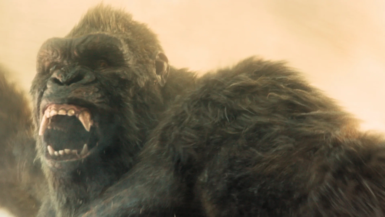 ‘Monarch: Legacy of Monsters’ Sets Season 2 Release Date, Reveals Kong in First Teaser